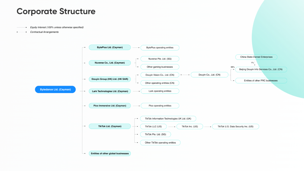 bytedance structure